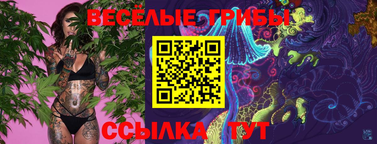 Галлюциногенные грибы прущие грибы Нефтекумск