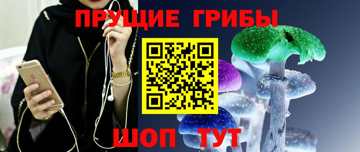 Галлюциногенные грибы Psilocybine cubensis  Вход с VPN  цена   Нефтекумск 